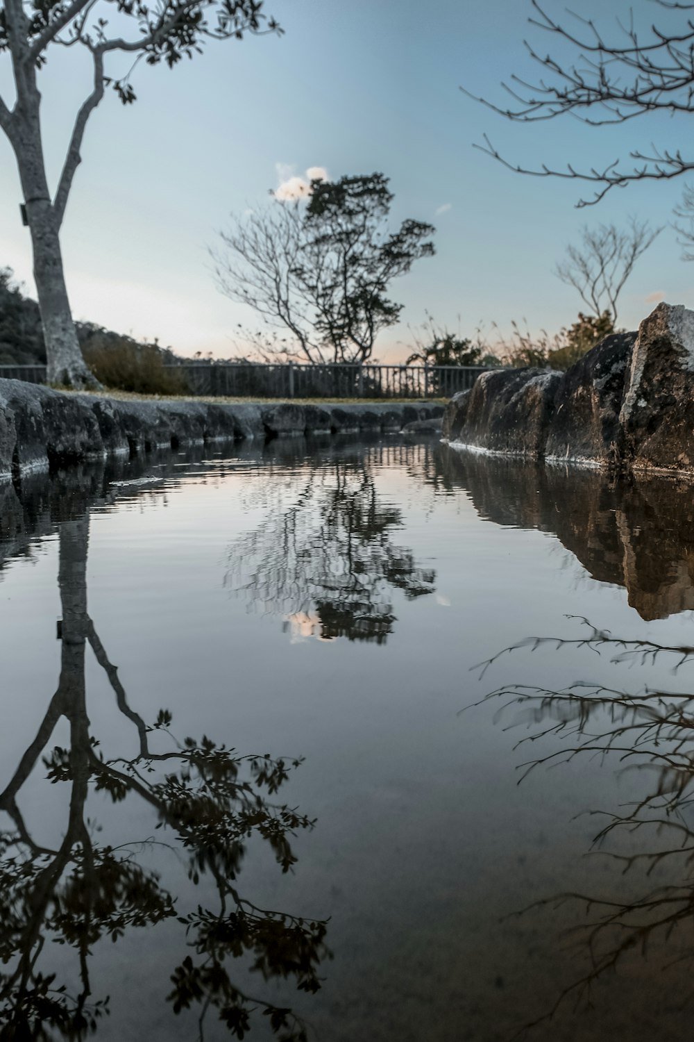 body of water near trees during daytime