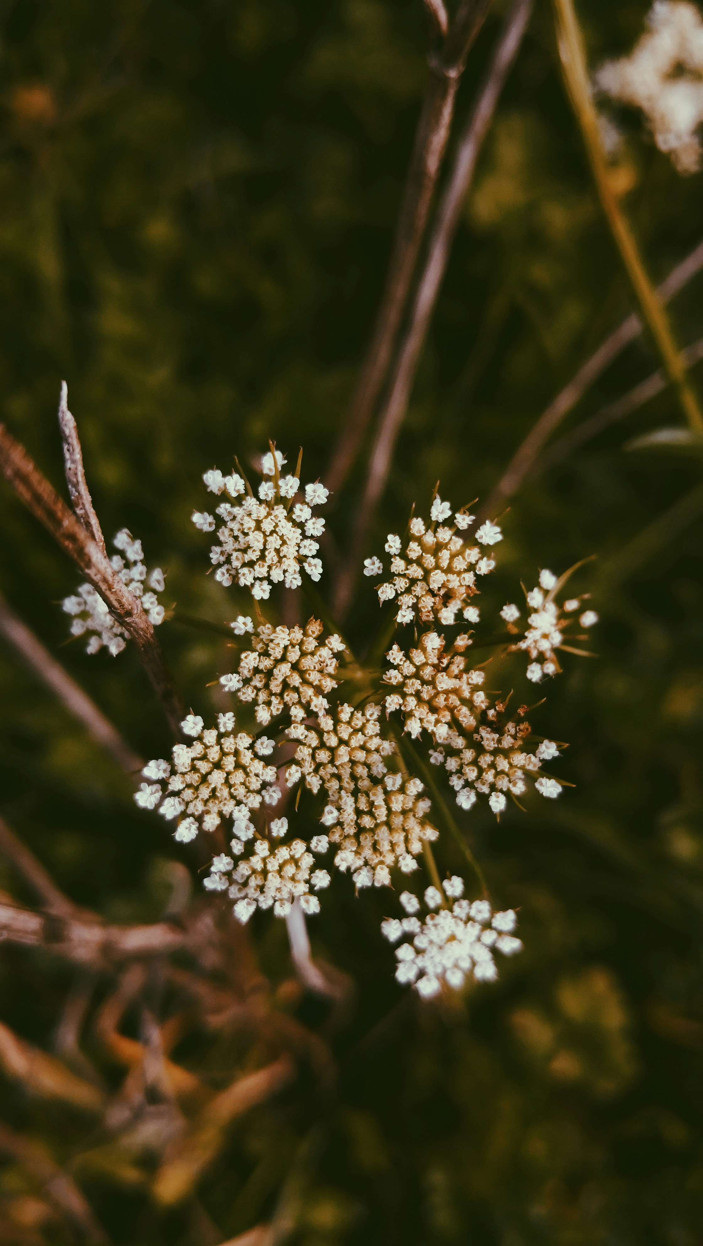 Photo by duanemendes