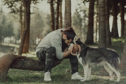 A person is sitting on a bent tree trunk in a forest, leaning forward and gently touching foreheads with a large dog resembling a husky. The surrounding area is densely packed with tall trees, and sunlight filters through, casting a serene atmosphere. The person is wearing a gray shirt, camo pants, and white sneakers, showcasing a moment of connection and companionship with the dog.