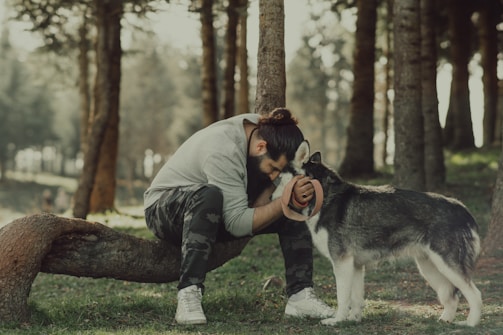 A person is sitting on a bent tree trunk in a forest, leaning forward and gently touching foreheads with a large dog resembling a husky. The surrounding area is densely packed with tall trees, and sunlight filters through, casting a serene atmosphere. The person is wearing a gray shirt, camo pants, and white sneakers, showcasing a moment of connection and companionship with the dog.