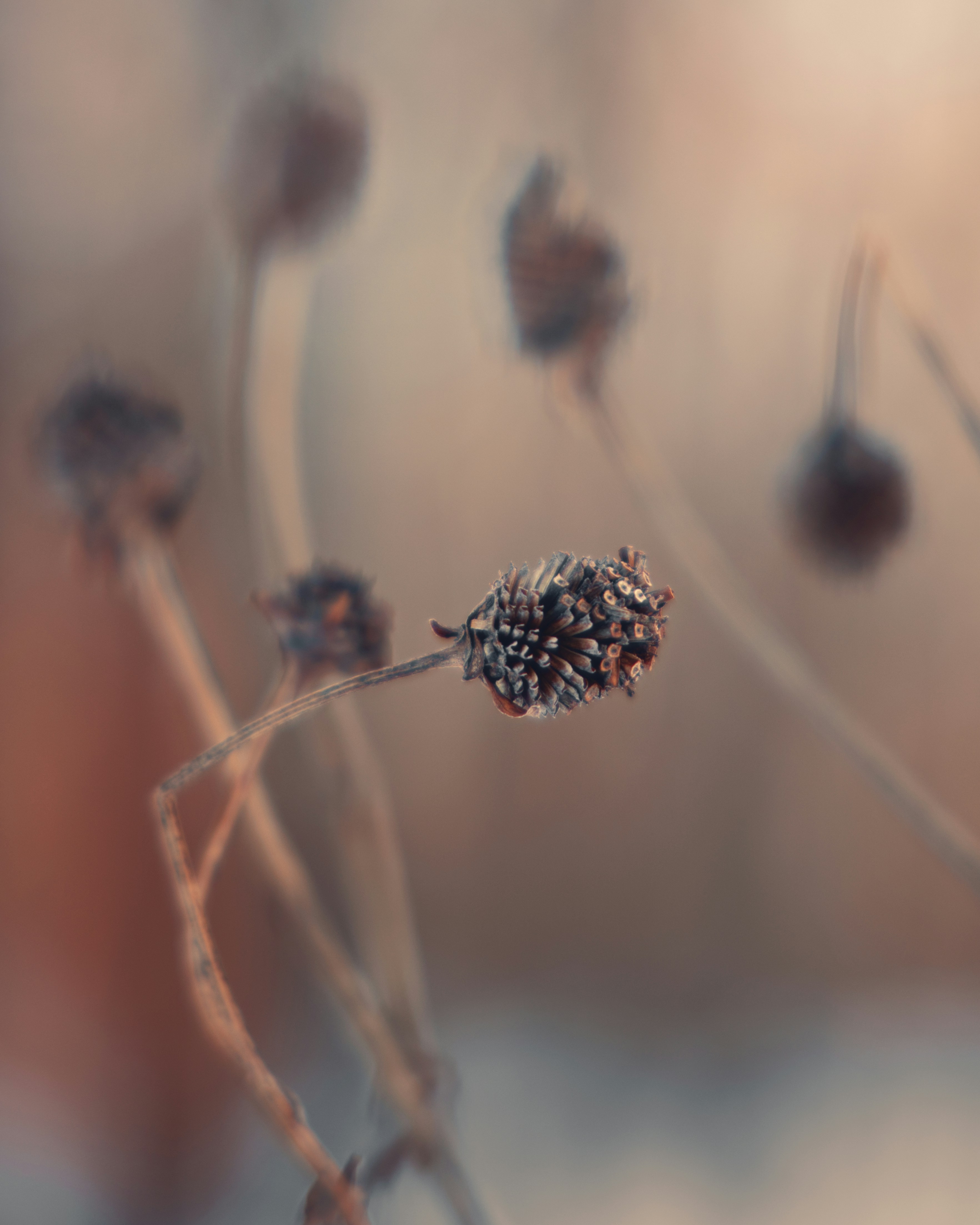 Photo by ldpeterson11