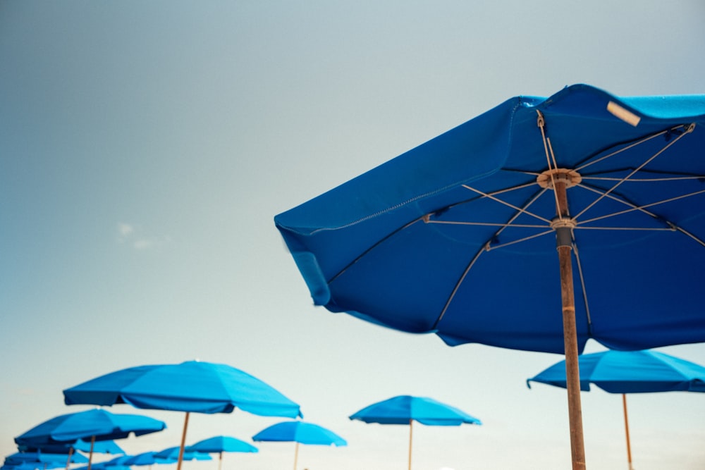 blue umbrella under blue sky during daytime