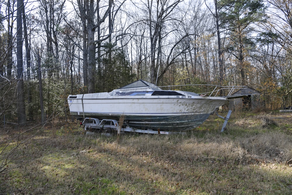 white and black boat on green grass field near bare trees during daytime