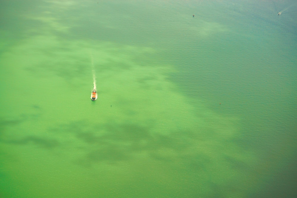 person surfing on green water during daytime