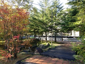 A serene garden setting with a pathway surrounded by trees in autumn colors. The leaves display vibrant shades of orange, red, and green. Sunlight filters through the branches, creating dappled shadows on the ground. A rustic pathway leads through the garden, bordered by rocks and lush greenery.