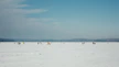 people on white snow covered field under blue sky during daytime