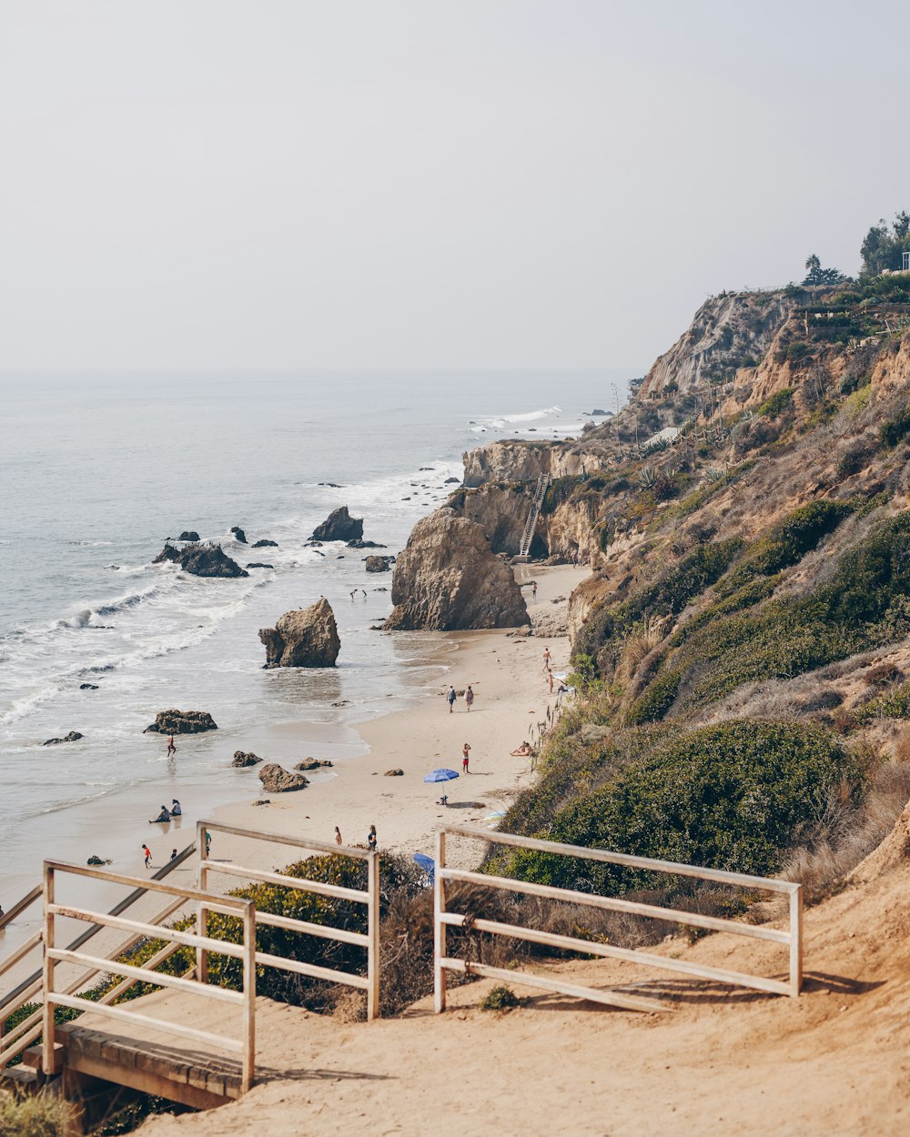 people on beach during daytime