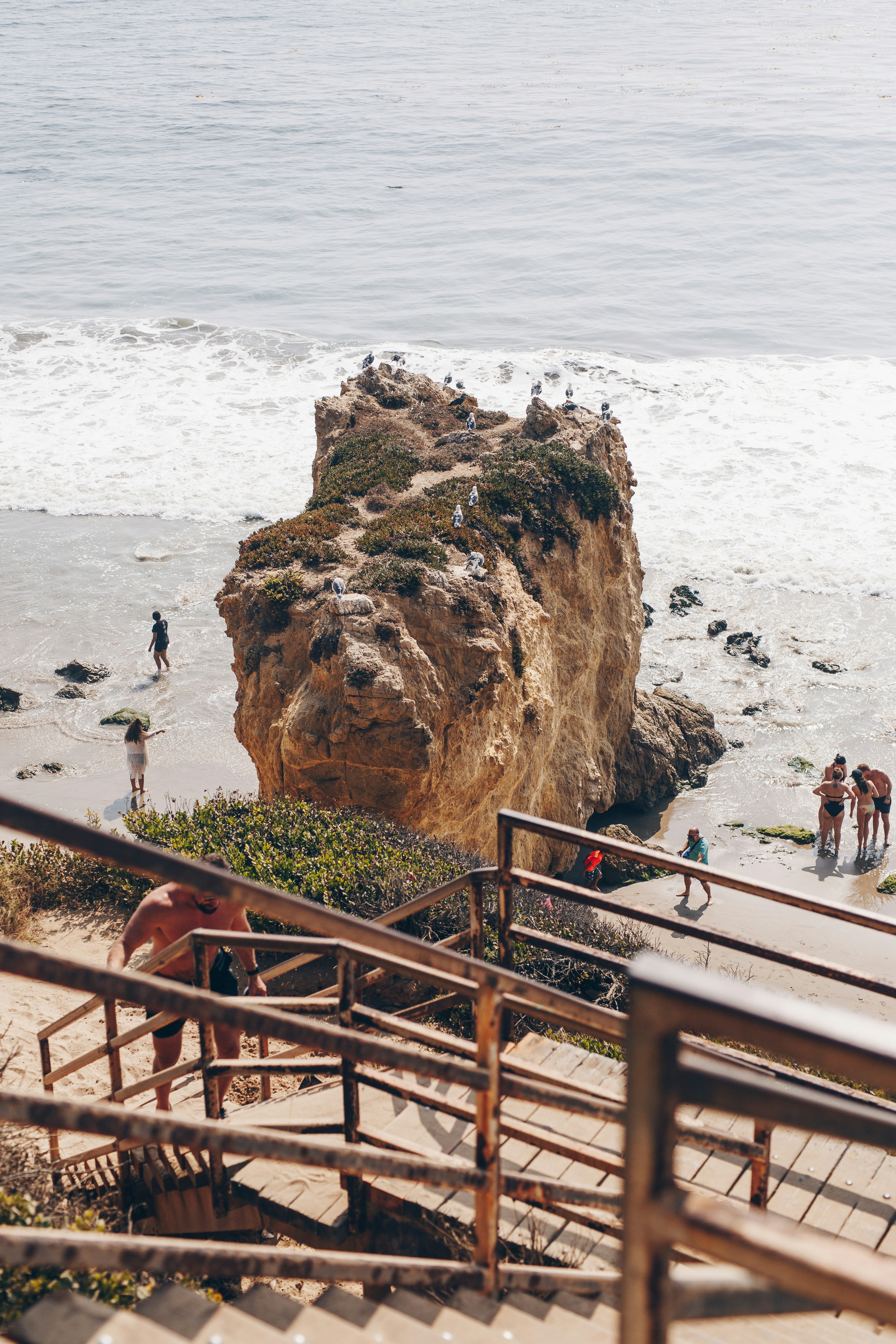 昼間のビーチを歩く人々