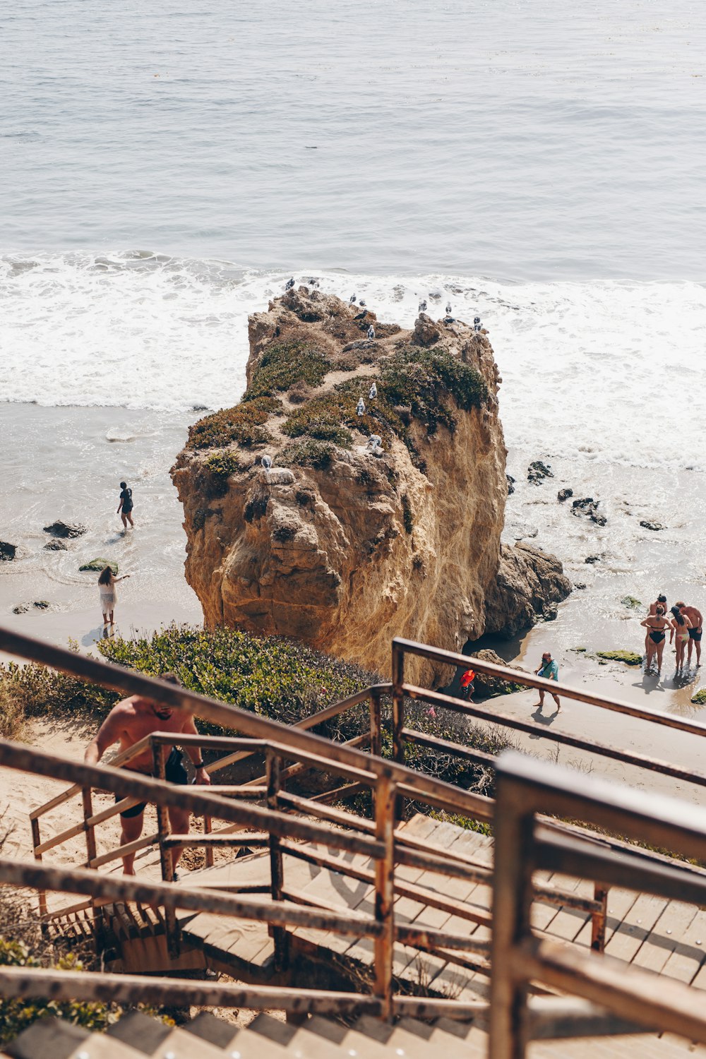 people walking on beach during daytime