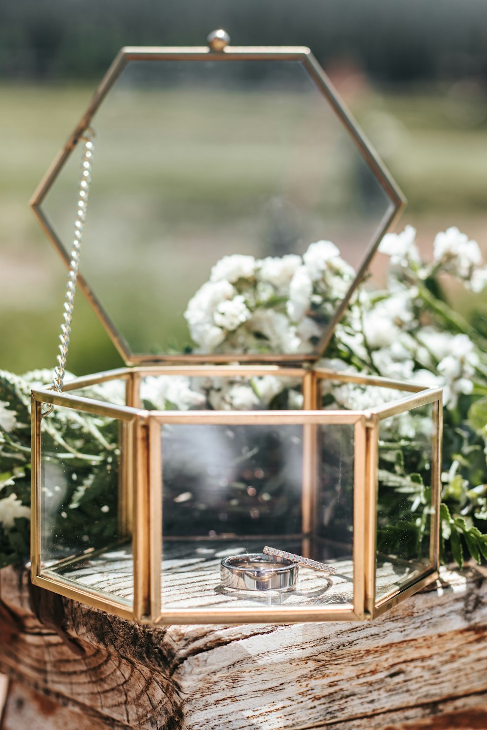 white flowers in brown wooden frame