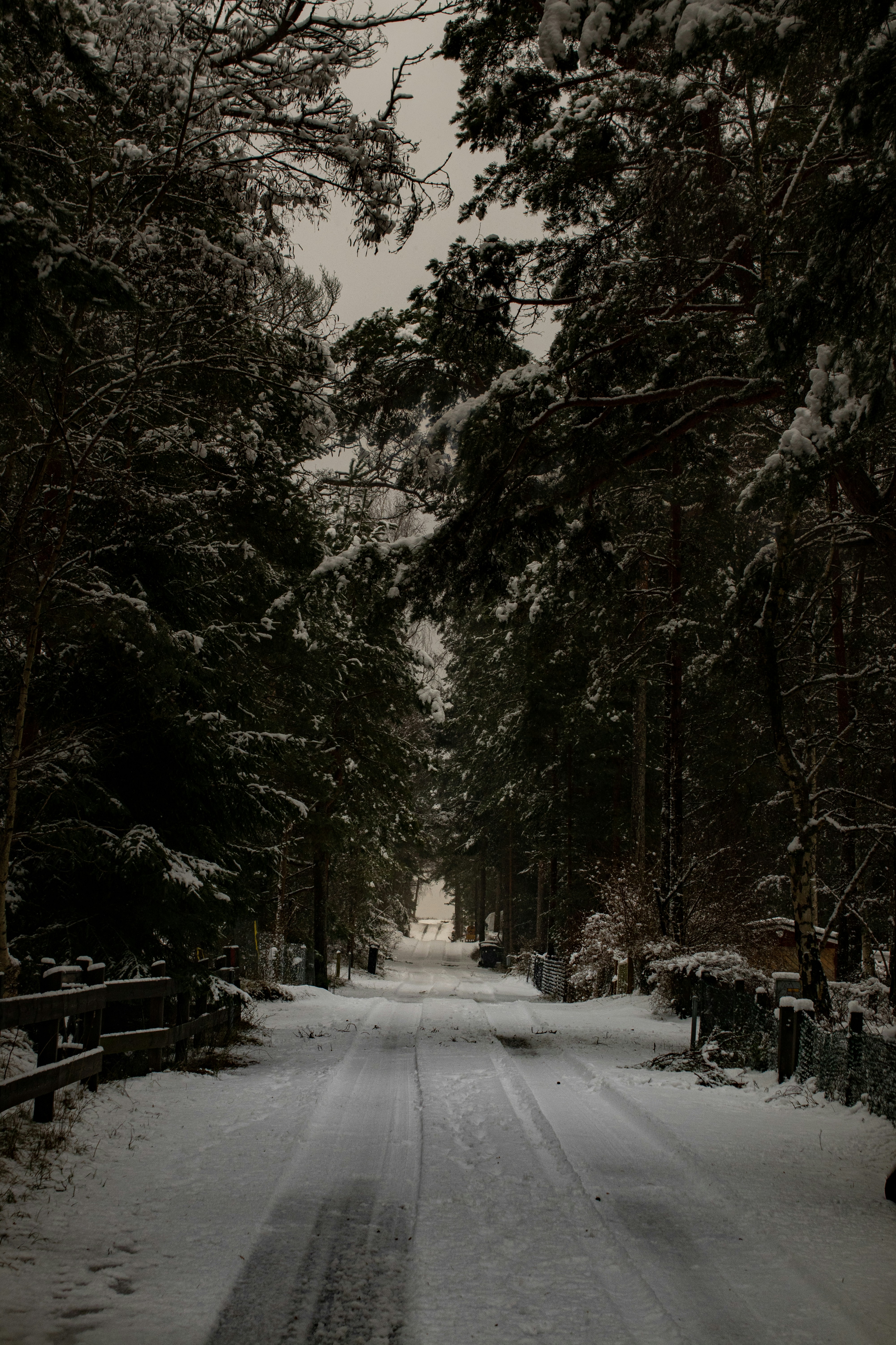Photo by karlhornfeldt