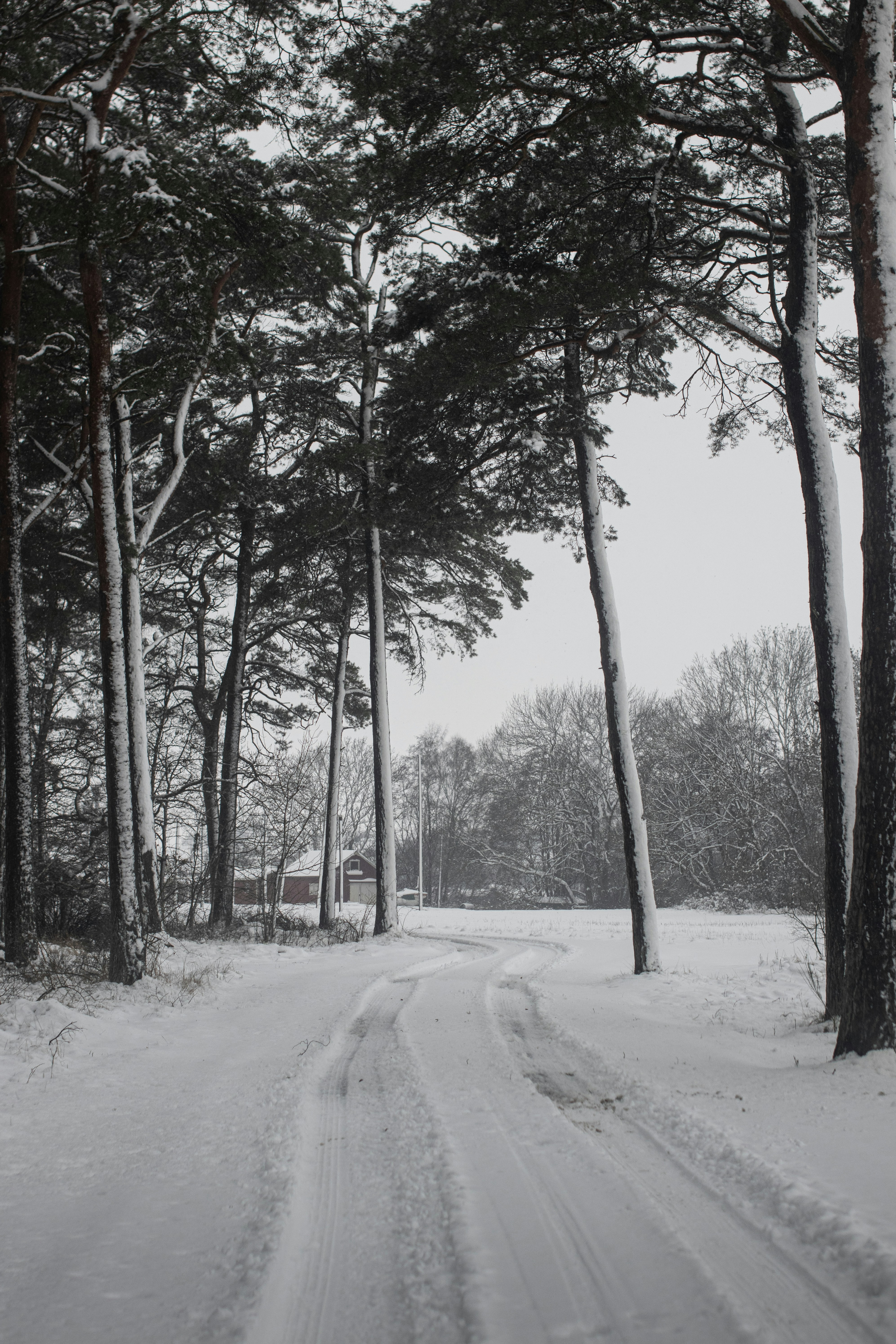 Photo by karlhornfeldt