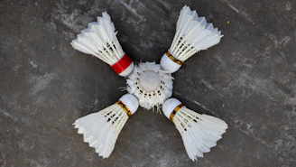 Close-up of feather shuttlecocks neatly arranged on a wooden surface.