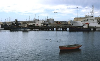 A quiet harbor scene with several fishing boats and a larger research vessel docked along the pier. The sky is partially cloudy, and the water is calm with a few seagulls floating nearby. A small red and blue boat is anchored in the foreground, adding a splash of color against the muted tones of the larger ships and industrial structures in the background.