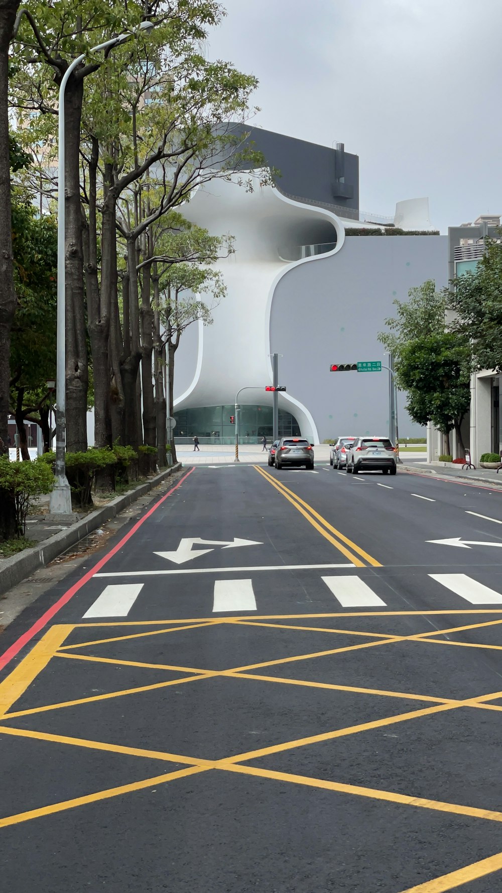 cars on road near trees during daytime