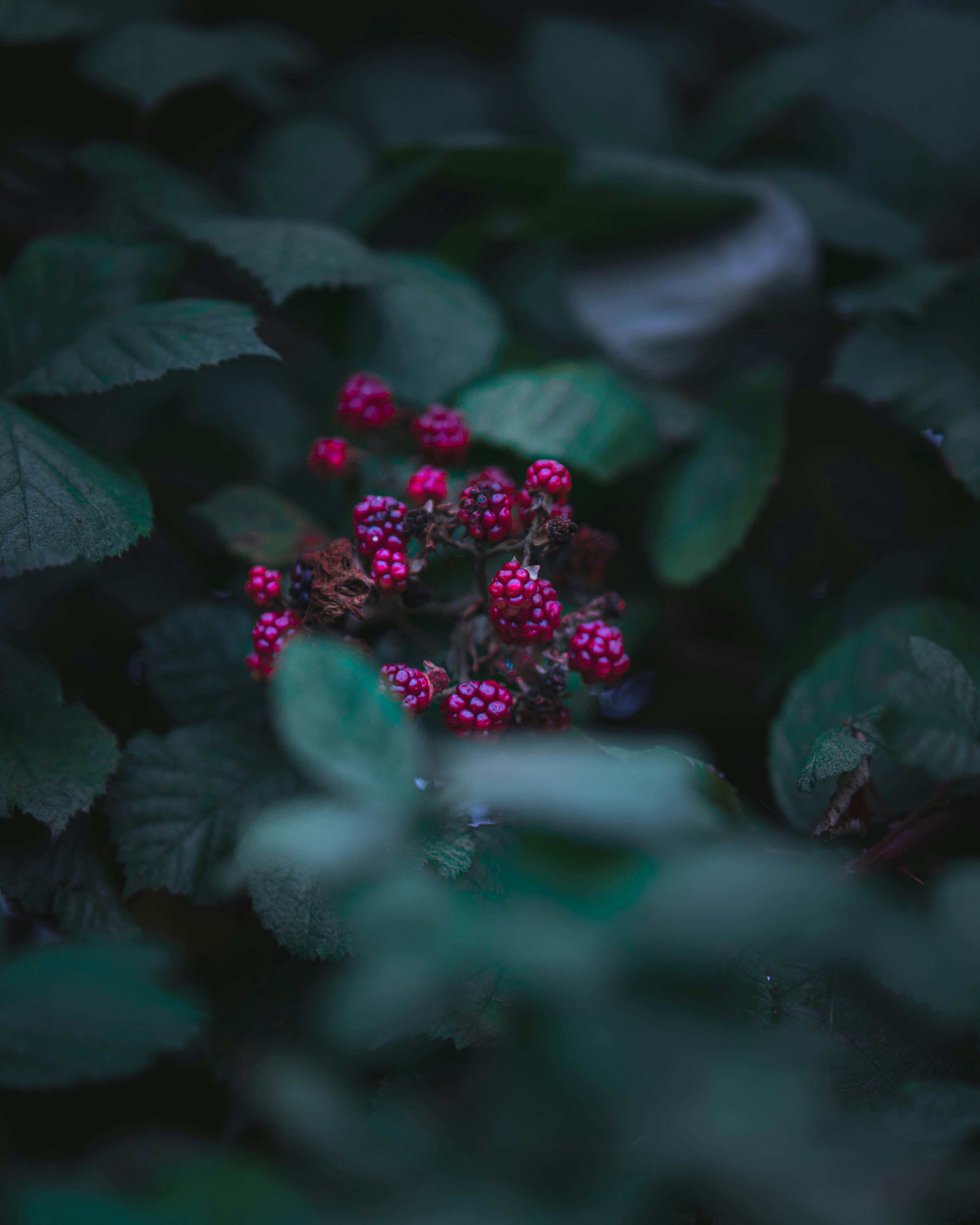 Photo by rosurazvi1995