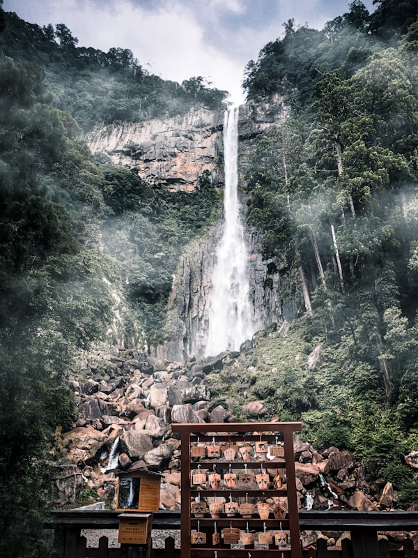 Wakayama Travel: Exploring Nature & Culture