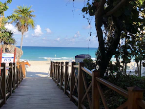 A wooden pathway from the hotel leading through palm trees to a bright beach.