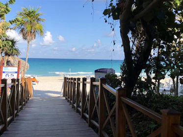A wooden pathway from the hotel leading through palm trees to a bright beach.