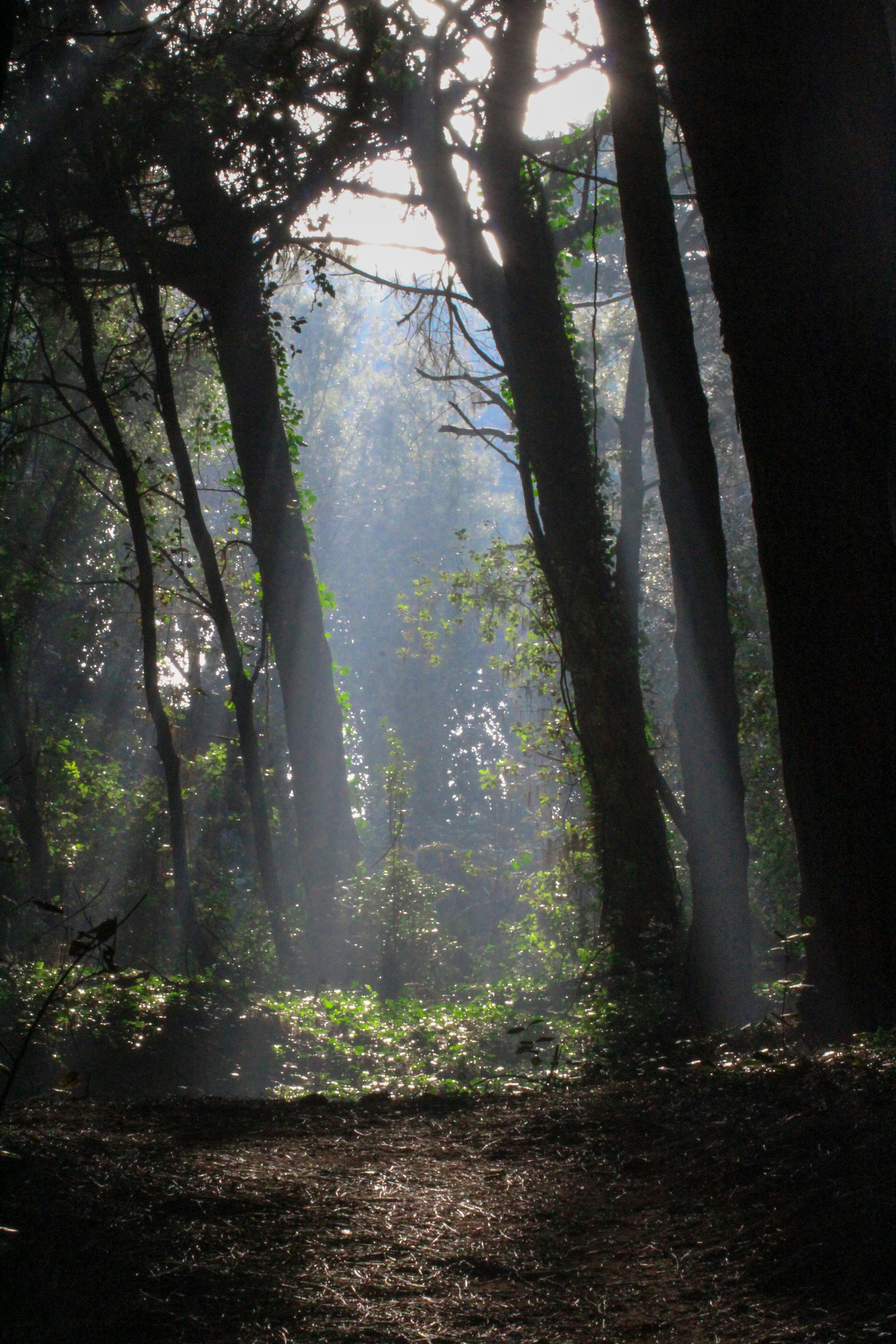 Photo by imtinapastore