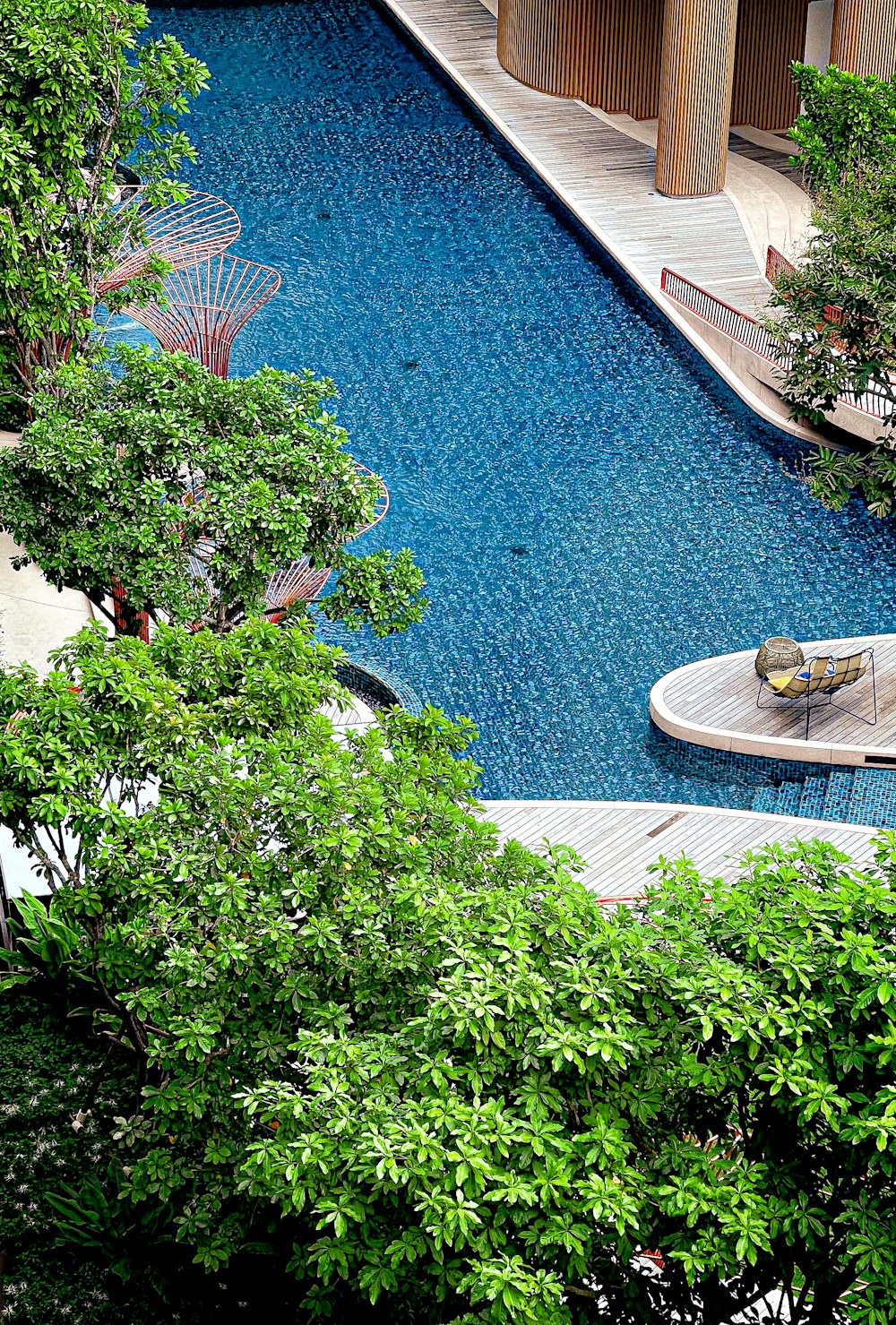 green trees near swimming pool during daytime