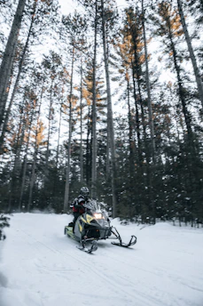 A snowmobiler speeding through a powdery forest trail under a clear blue sky.