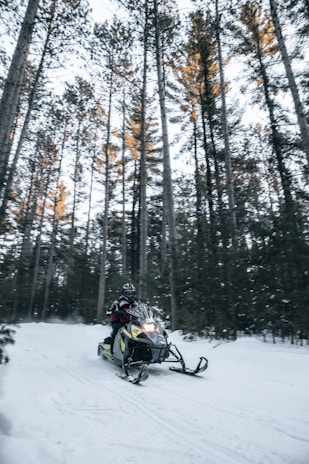 A snowmobile speeding through a snowy forest trail near Sault Ste. Marie.