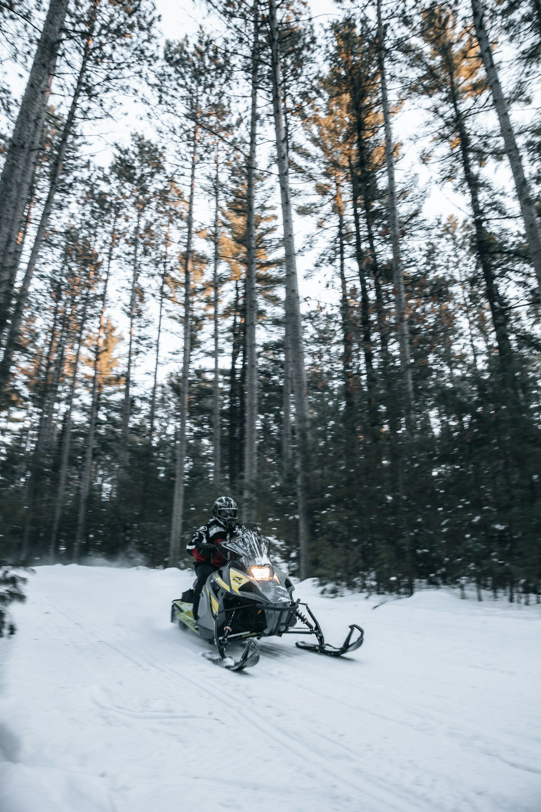 person riding on black motorcycle on snow covered ground near trees during daytime