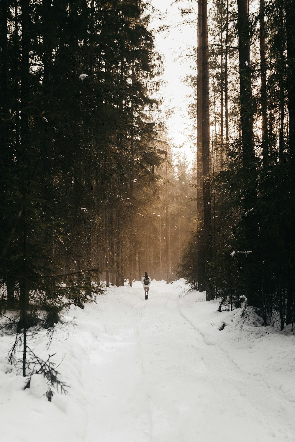 person in black jacket walking on snow covered ground near trees during daytime