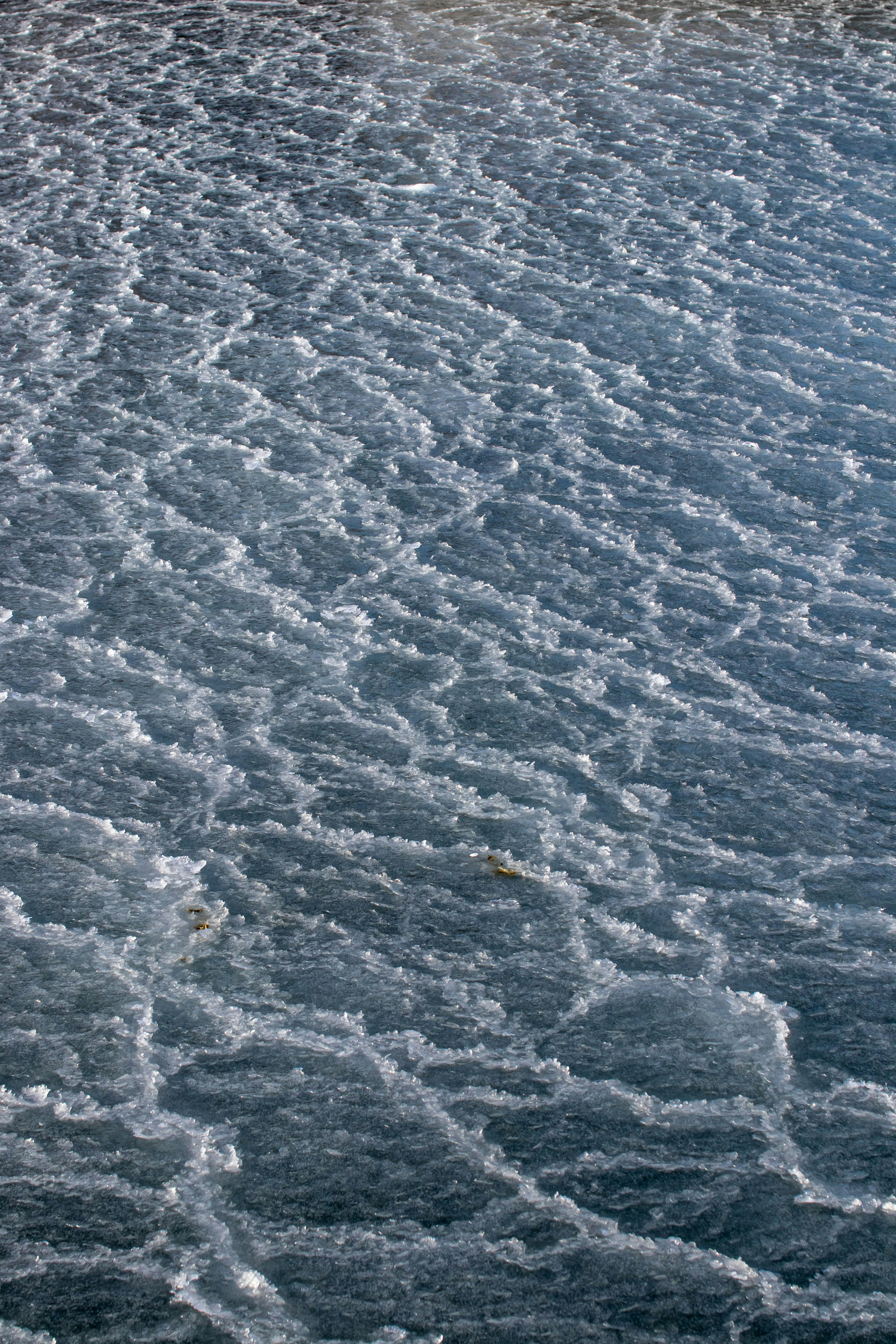 Photo by karlhornfeldt