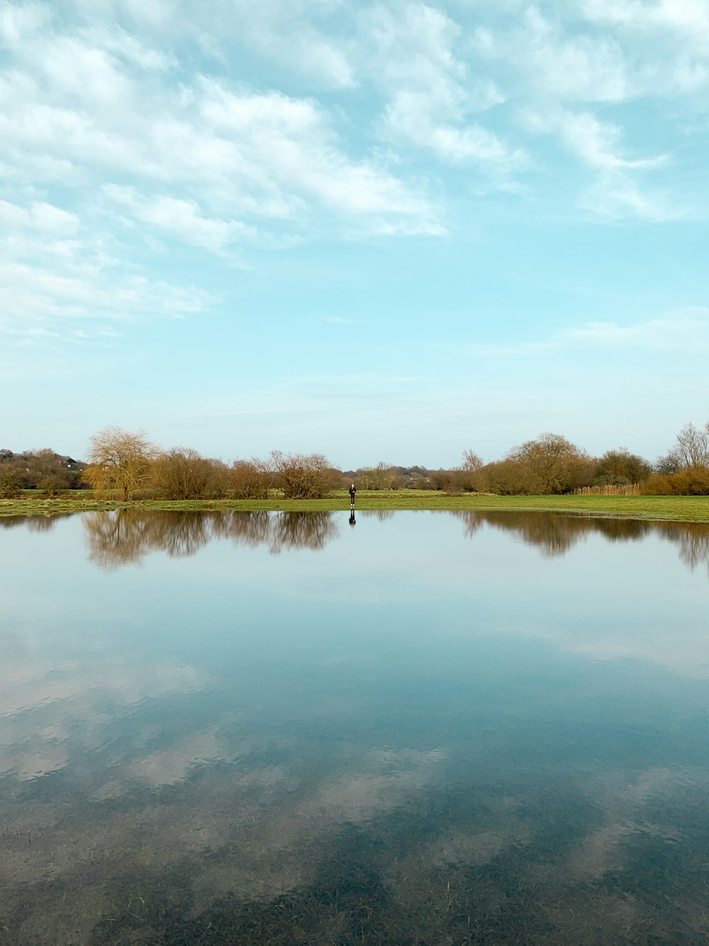 green trees beside lake under cloudy sky during daytime