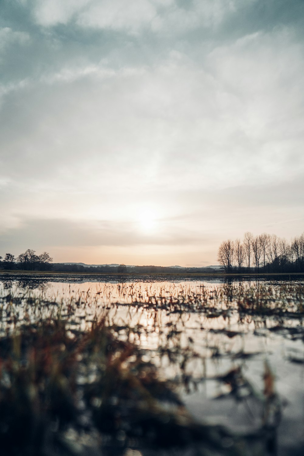 body of water near trees under cloudy sky during daytime