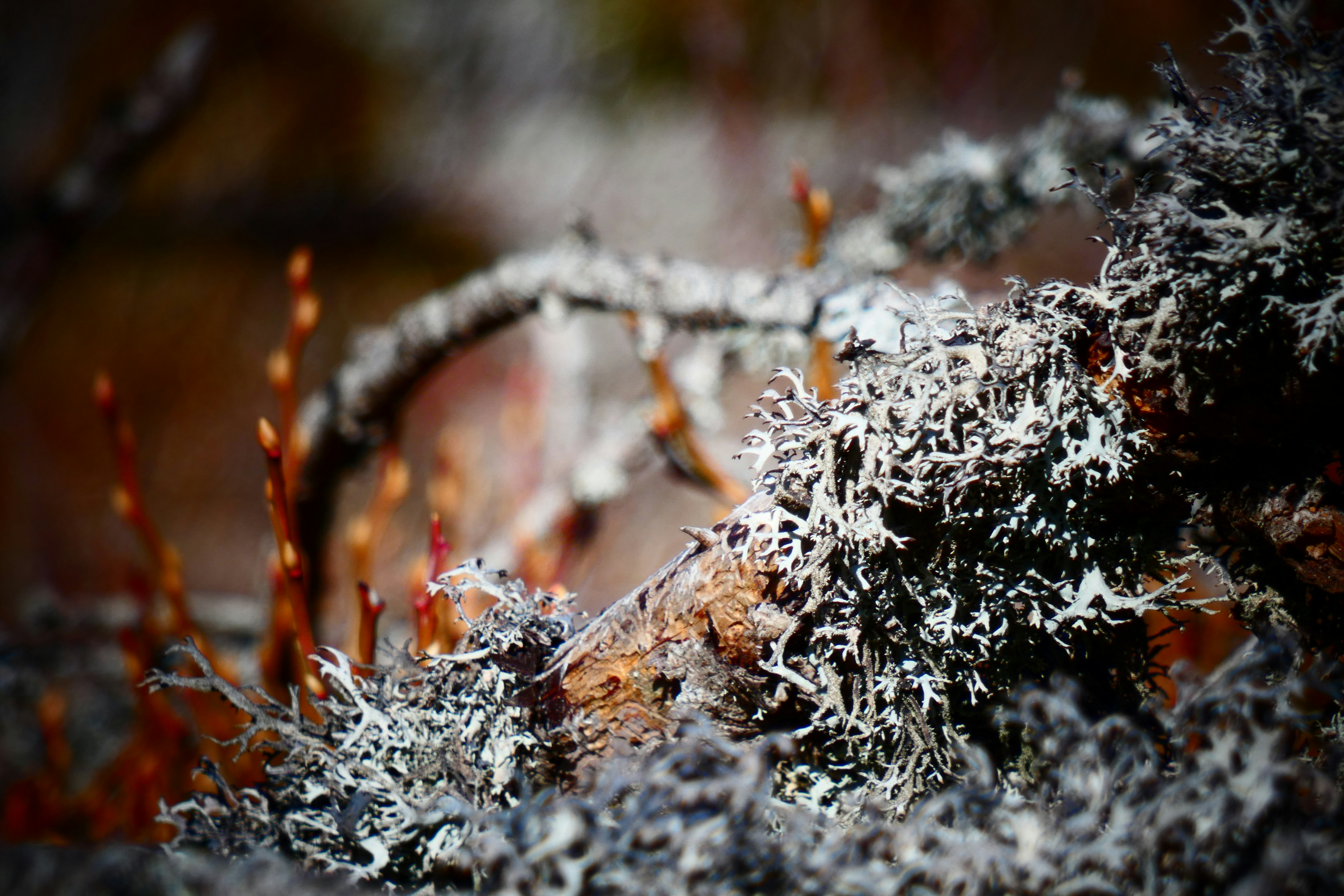 Photo by doripictures