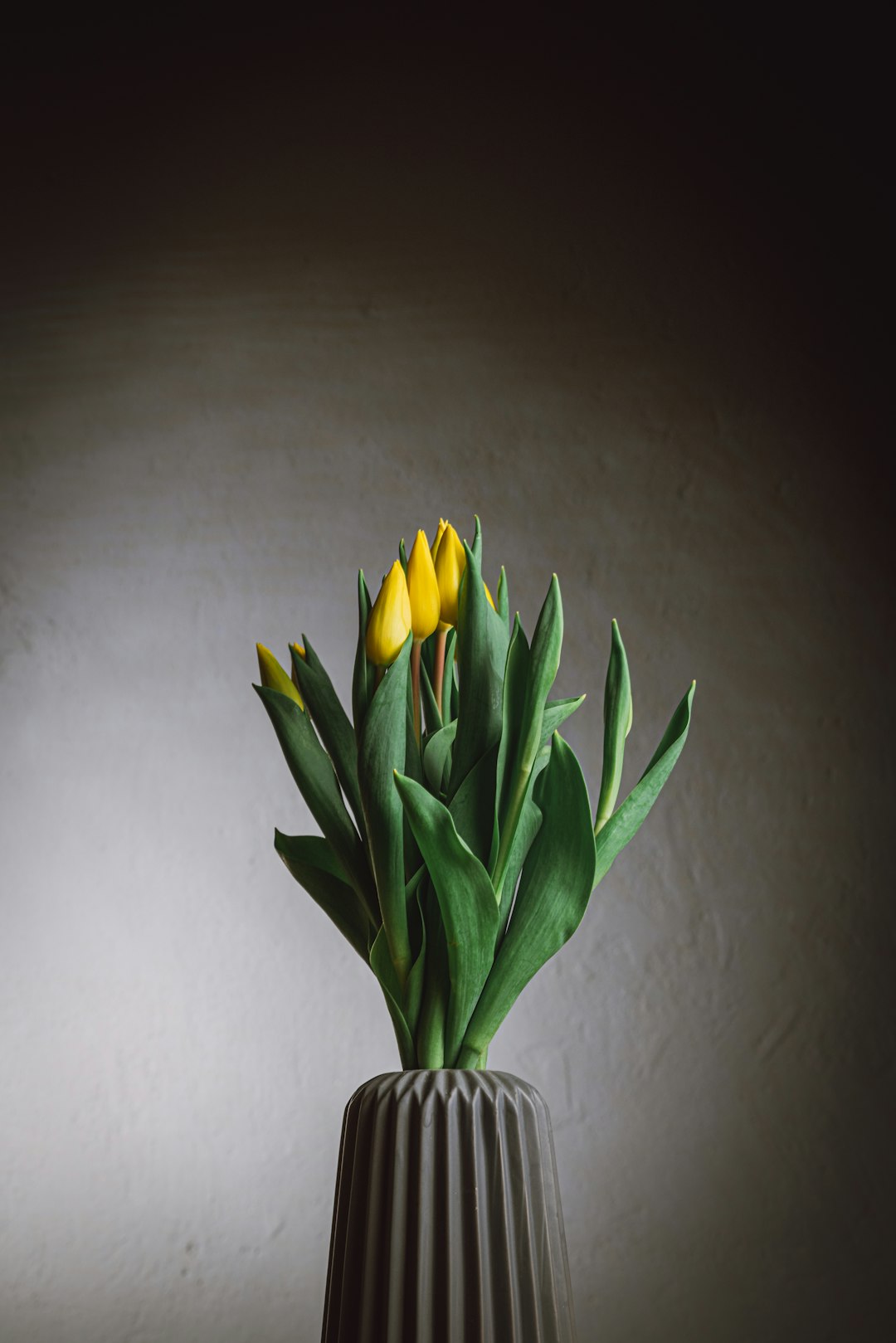 yellow tulips in green ceramic vase