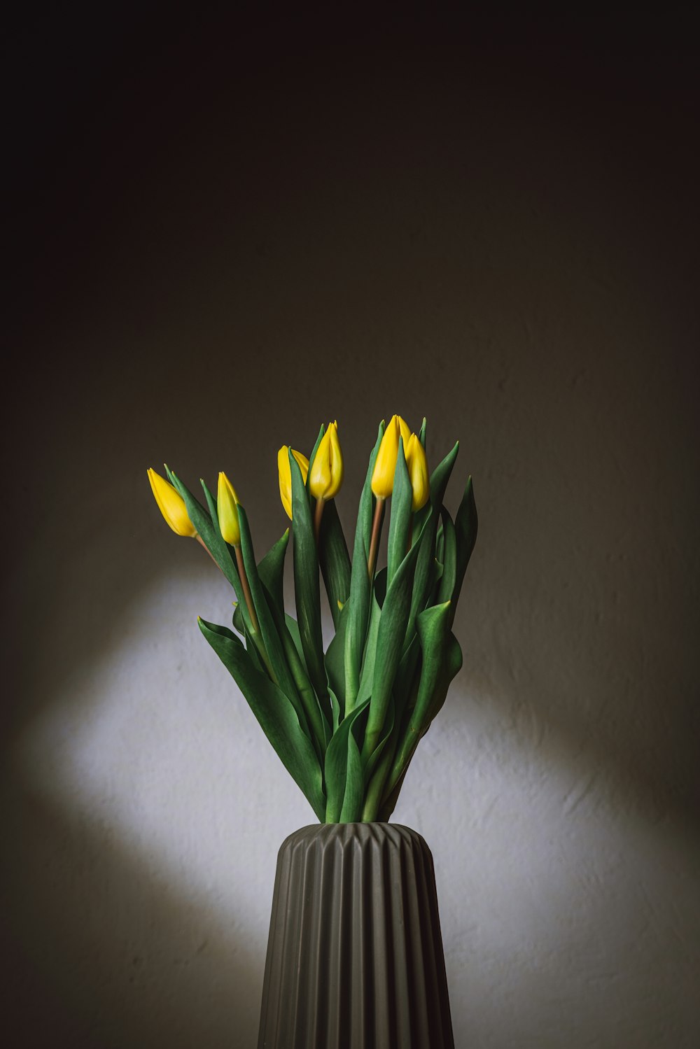 yellow tulips in white ceramic vase