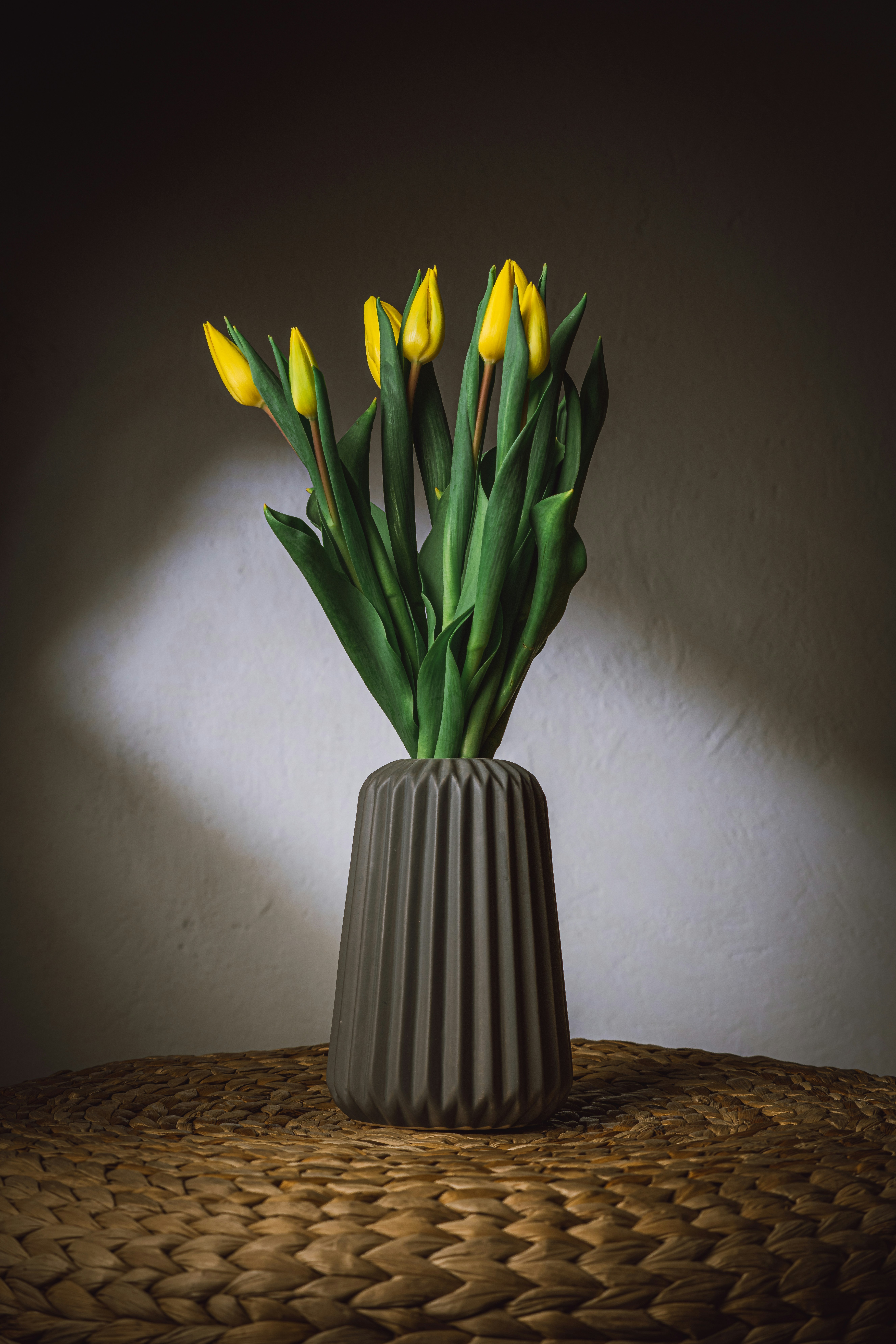 yellow tulips in white ceramic vase