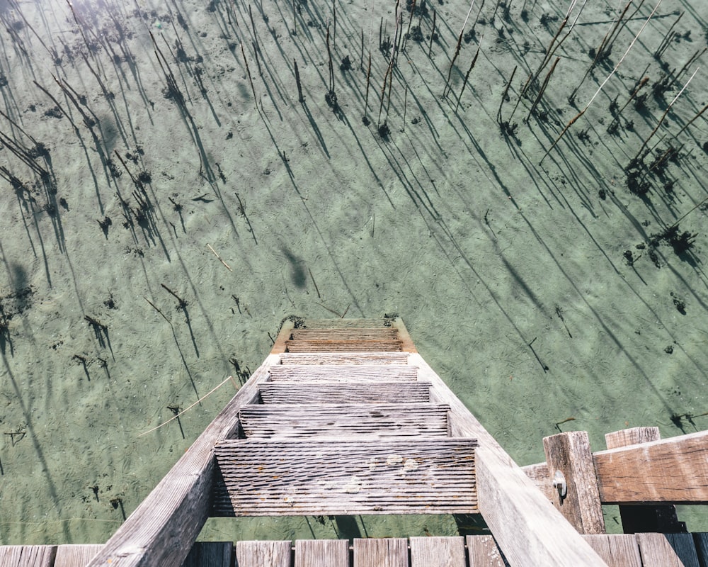 brown wooden dock on green grass