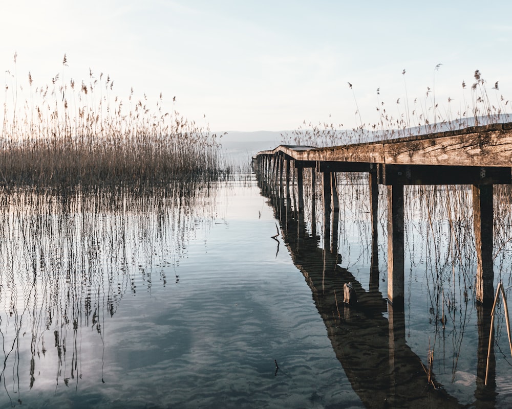 brown wooden dock on calm water during daytime