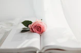 Open book with a rose lying across the pages, soft lighting.