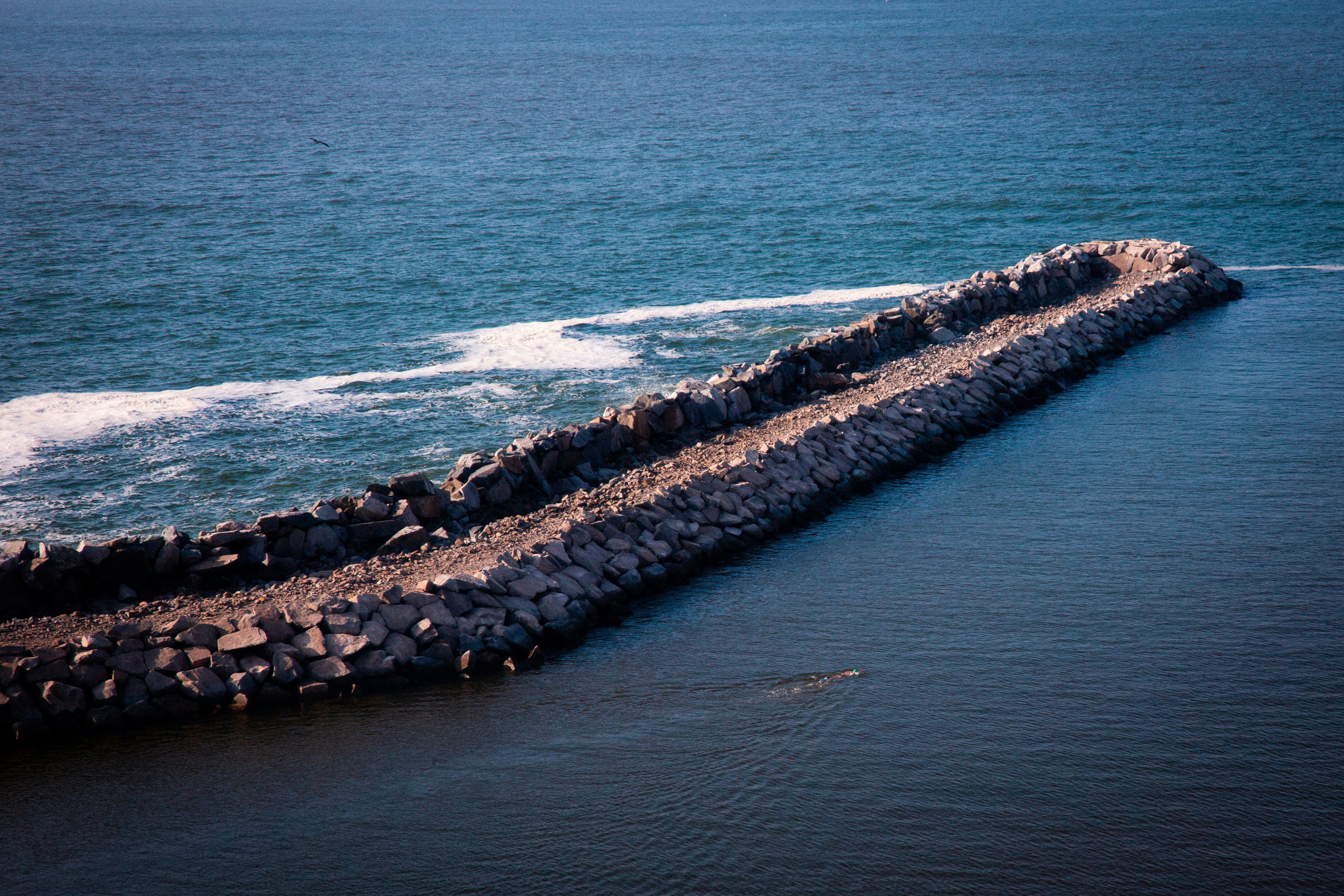 Photo by xapalacioscx