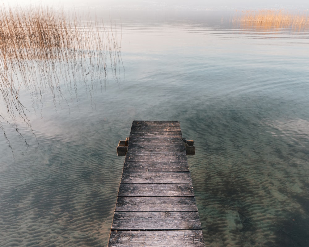 brown wooden dock on lake during daytime