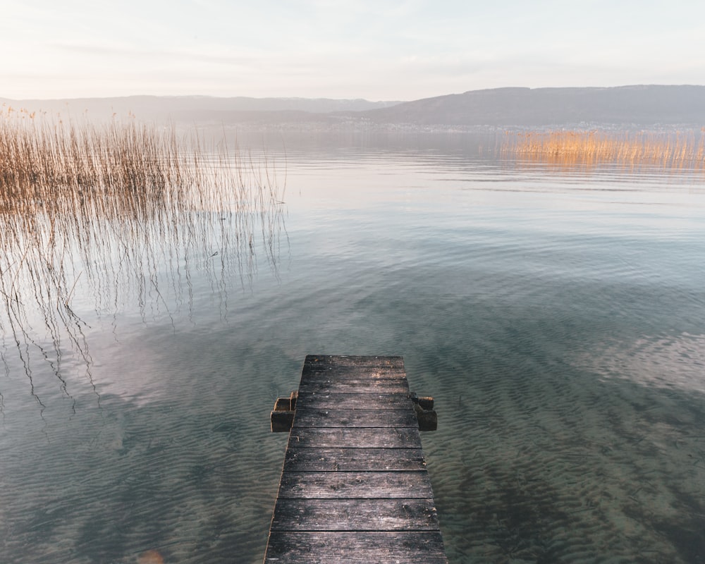 brown wooden dock on lake during daytime