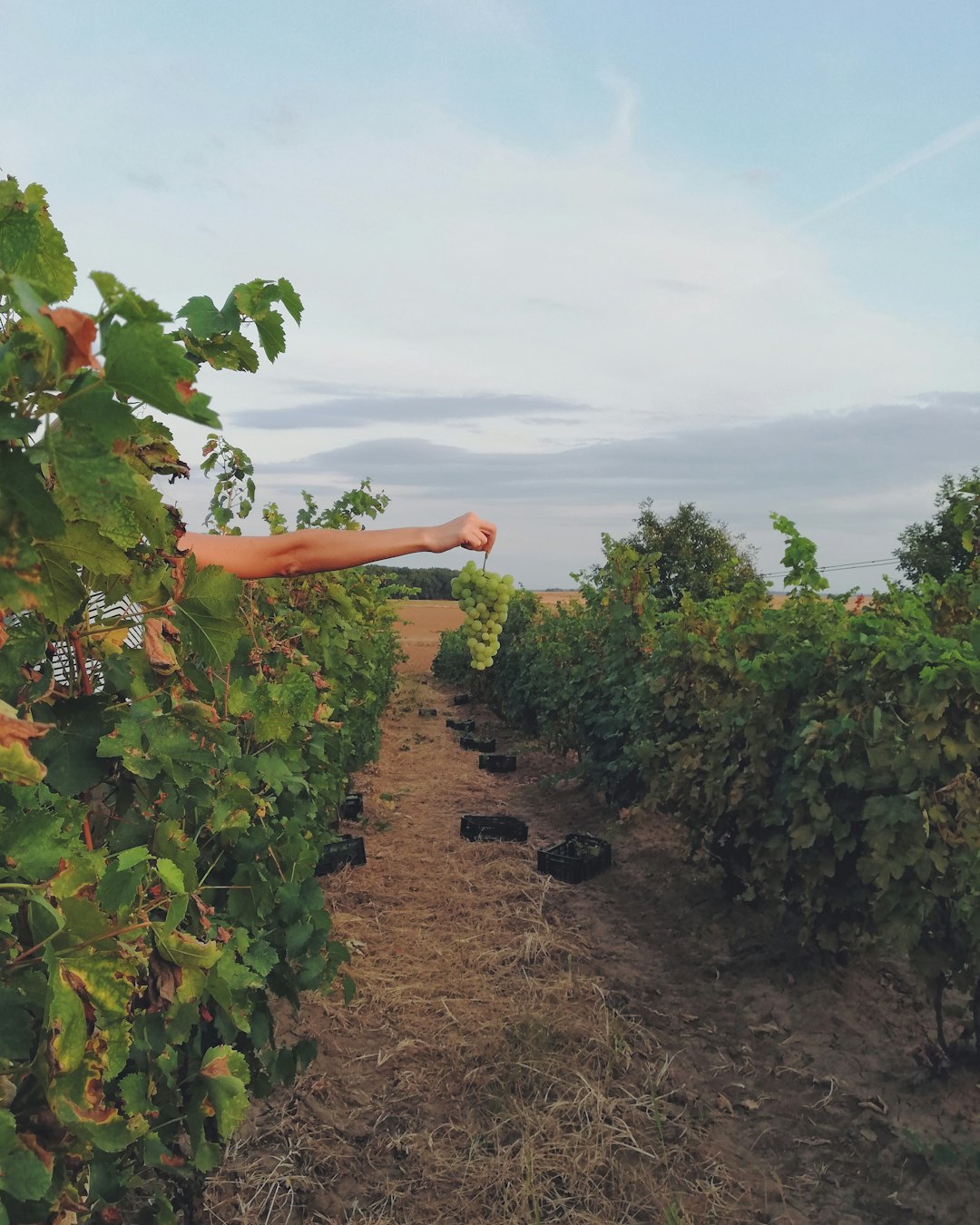 Natural landscape photo spot Tokaj Eger