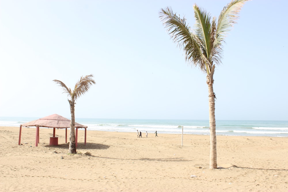 brown wooden house on beach during daytime