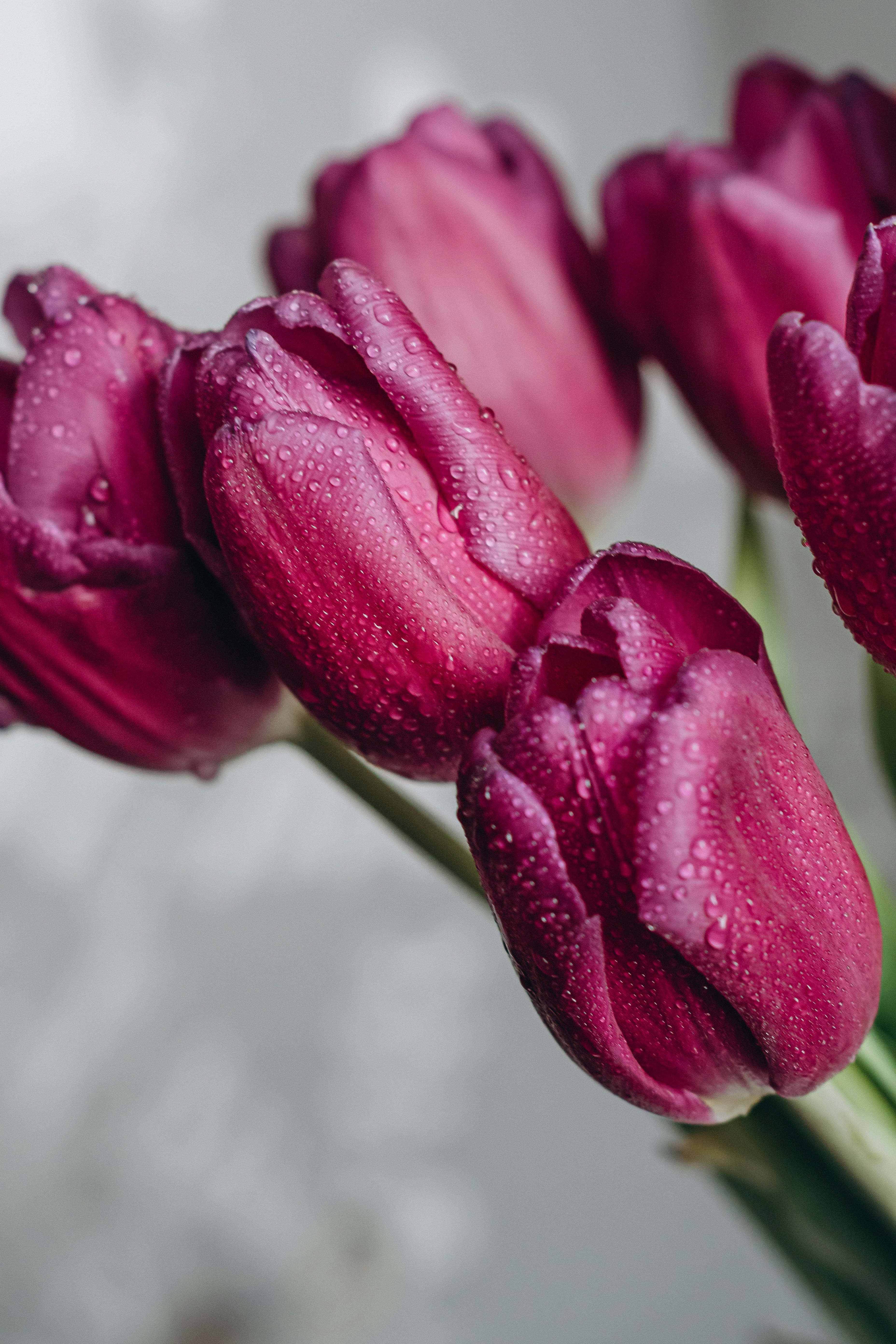 Photo by raspopovamarisha