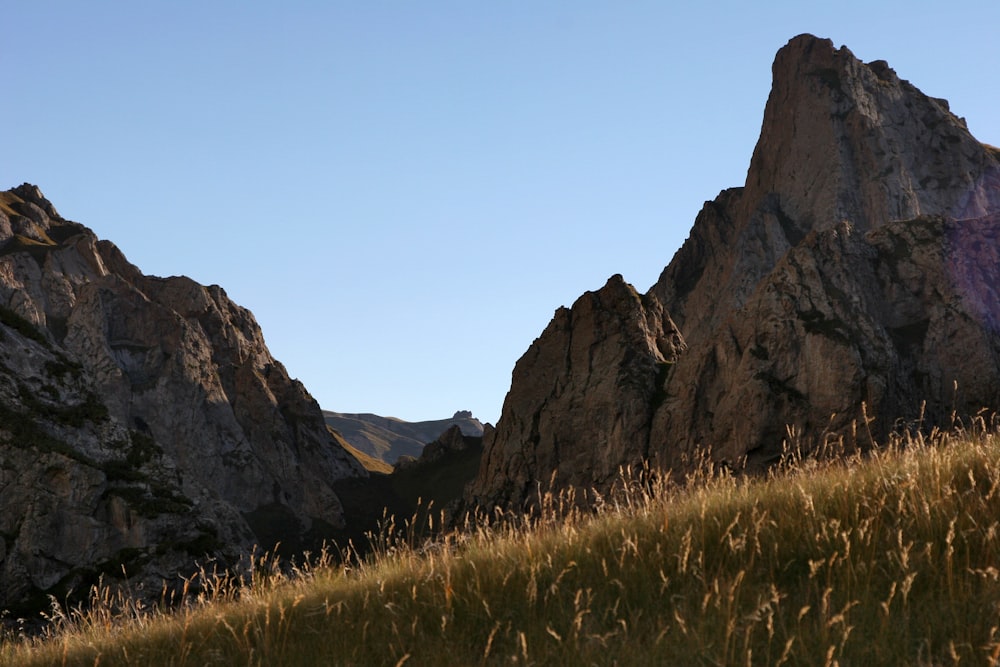 Grünes Grasfeld in der Nähe von Brown Rocky Mountain tagsüber