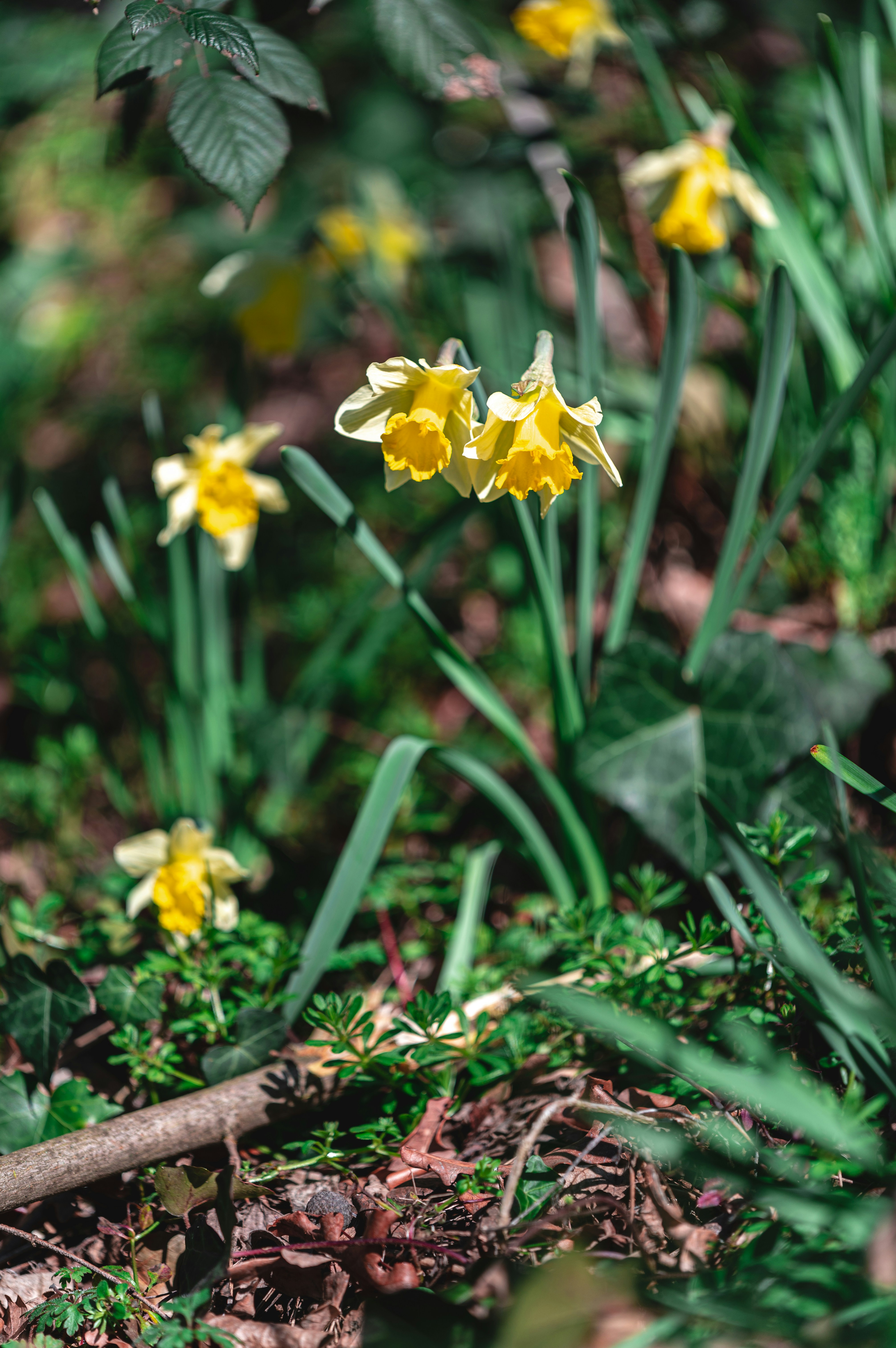 Photo by andreasbrun