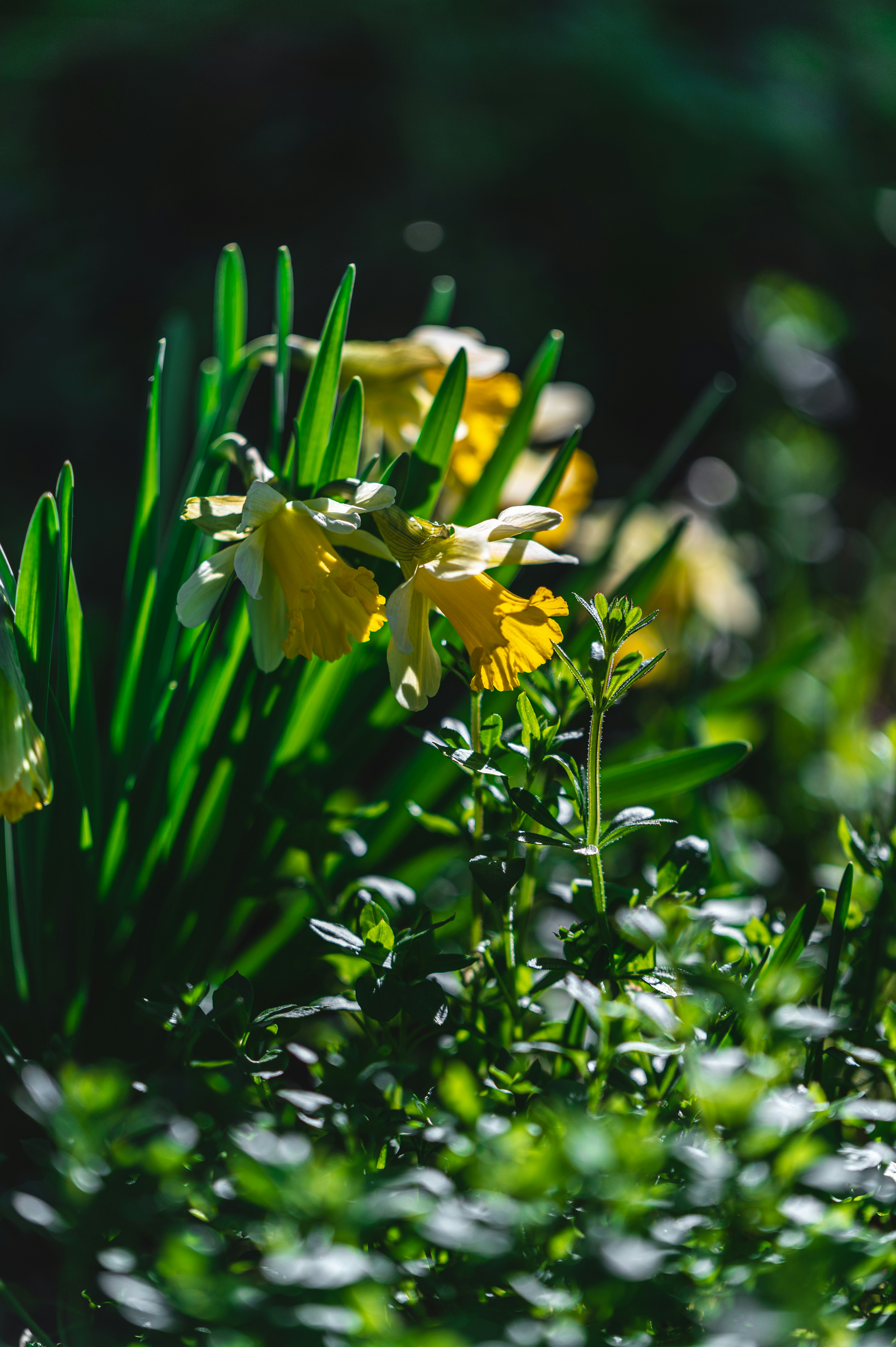 Photo by andreasbrun