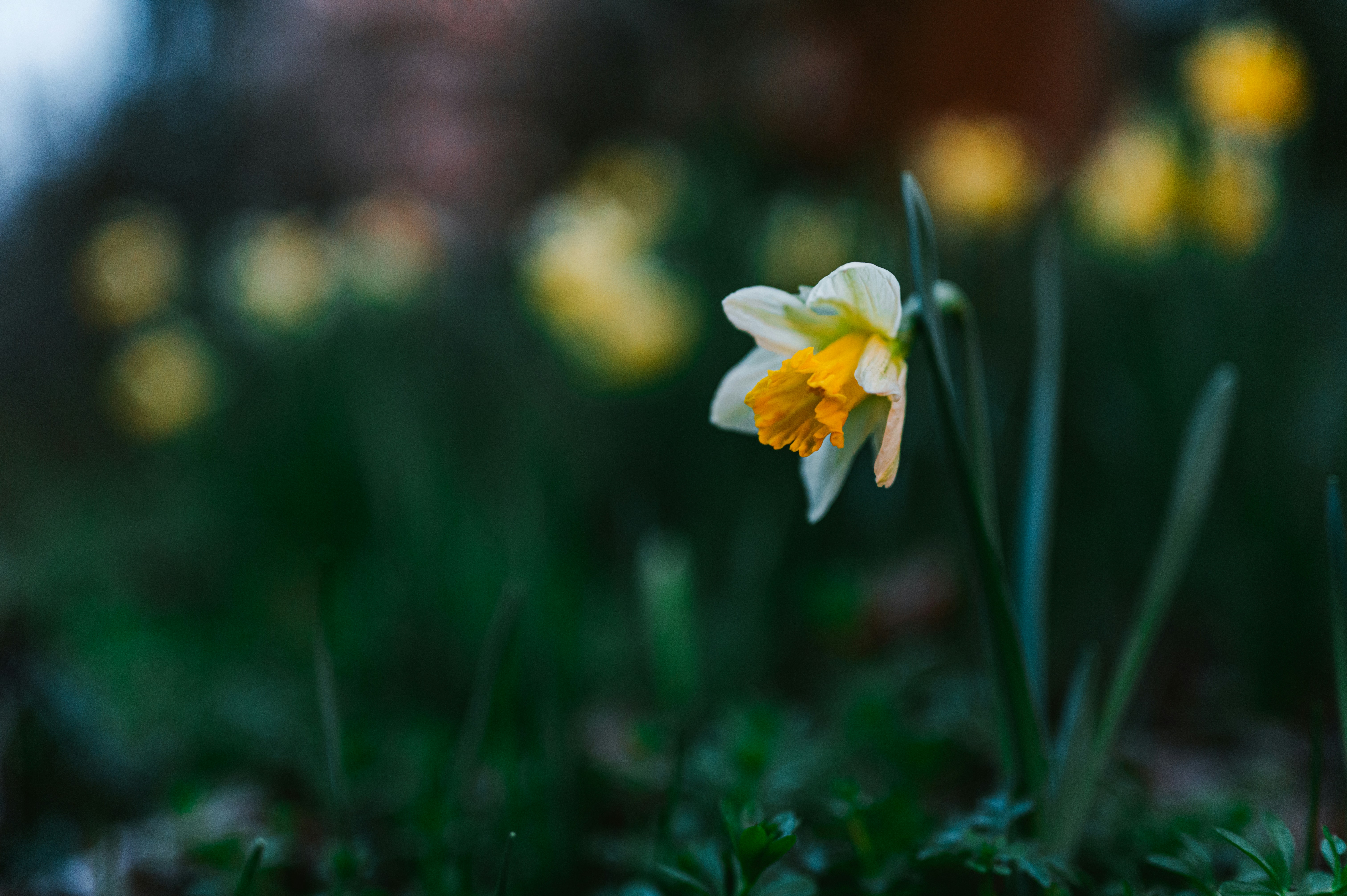 Photo by andreasbrun