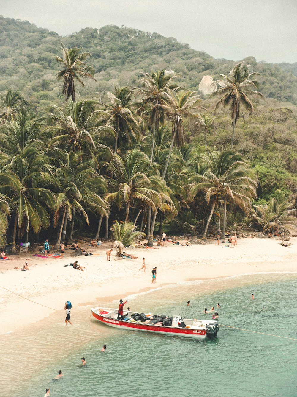 people on beach during daytime